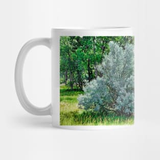 Cherry Creek Trail Study 2 Mug